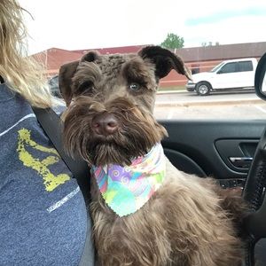 Meet your Posher, Stacy